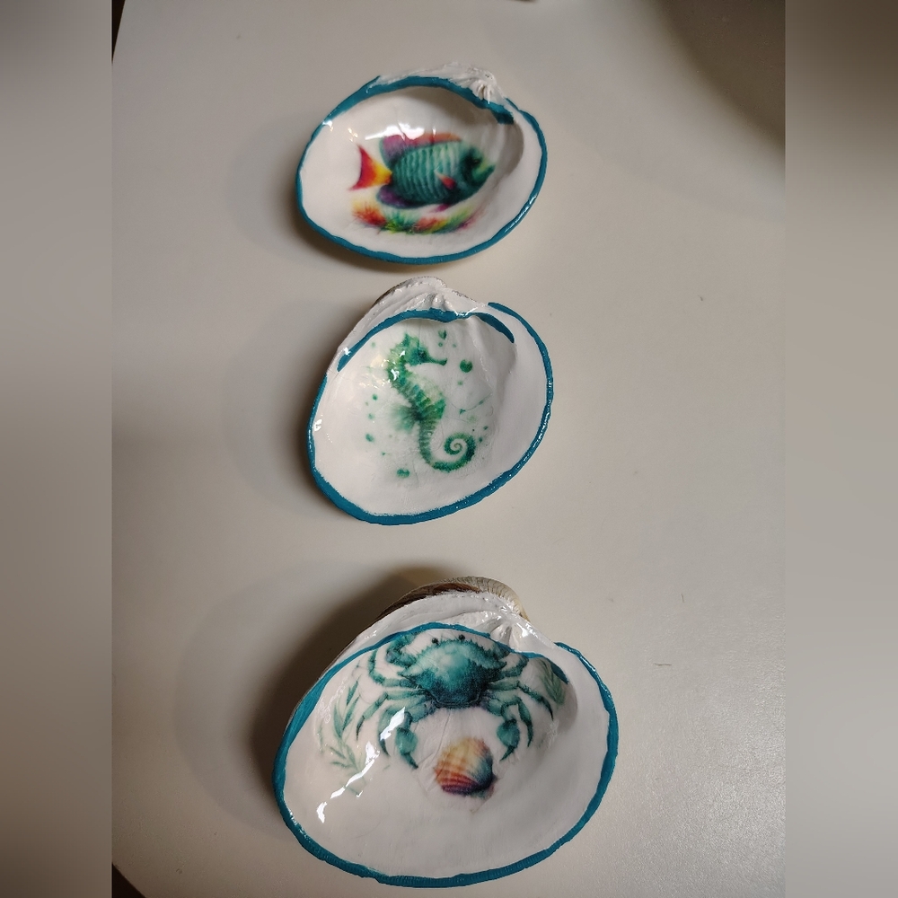 Sea life clam shells